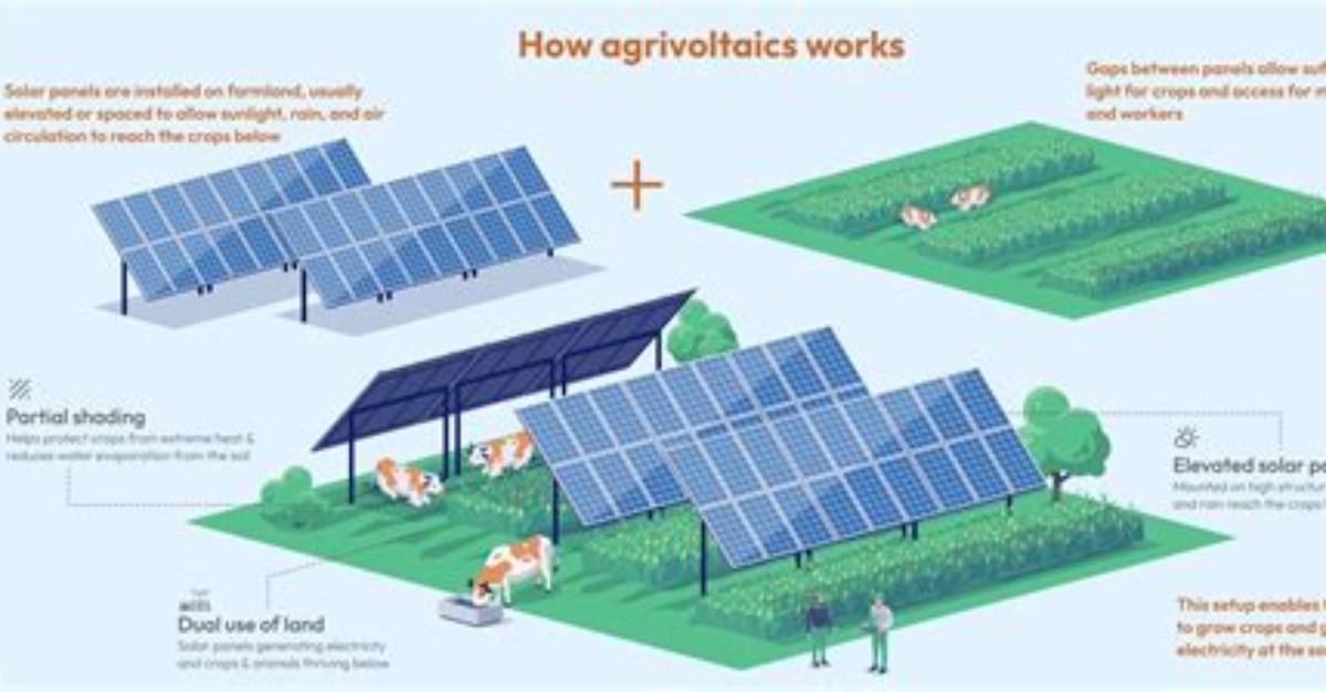 Agrivoltaics in Action: Visual Proof That Solar Fields Are the New Agriculture