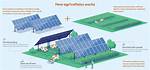 Agrivoltaics in Action: Visual Proof That Solar Fields Are the New Agriculture