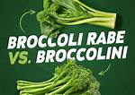 Broccoli Rabe vs Broccolini Fact-Check: Are They Even Related to Real Broccoli?