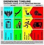 Camp Canine Drowning Timeline: from Bruce’s Death to Daycare Suspension and Protests