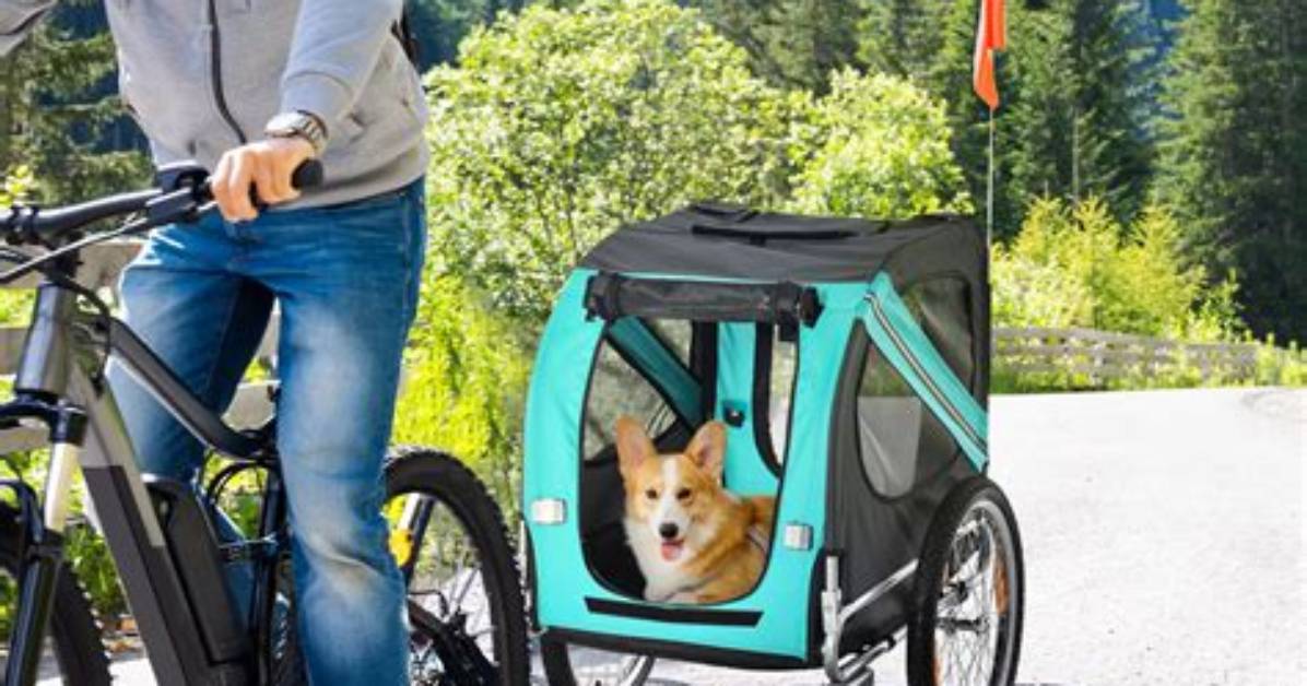 Can Any Bike Pull a Dog Trailer? Hitch Compatibility Fact-Check
