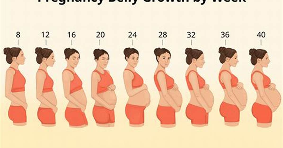 Complete Guide to Mid-Pregnancy Belly Changes: What Every Parent Should Expect
