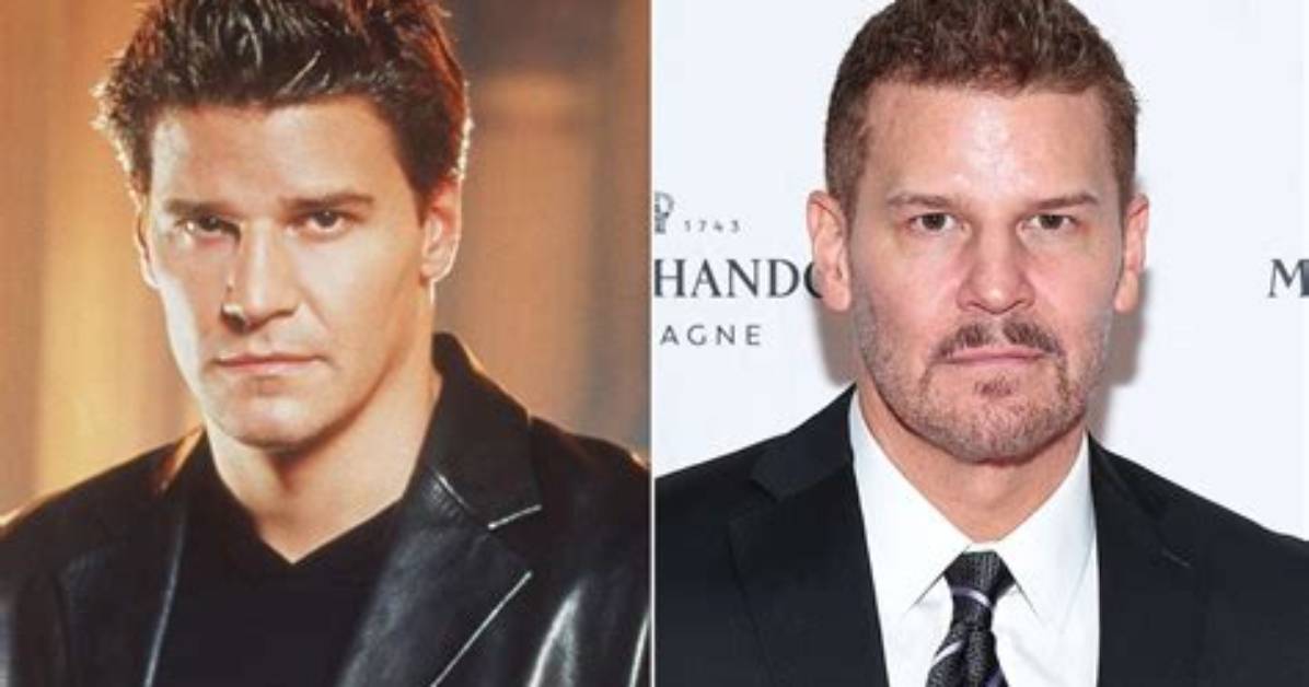 Did David Boreanaz Ever Serve in the Military? the Truth Behind the Seal Team Star
