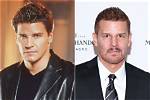 Did David Boreanaz Ever Serve in the Military? the Truth Behind the Seal Team Star