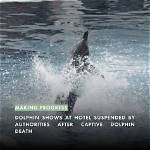 Dolphin Captivity Crisis Timeline: from Federal Inspections to Global Breeding Halts