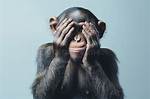 Fact Check: Is the Monkey Covering Eyes Emoji with 'Thanks' Flirting, Politeness, or an Inside Joke?