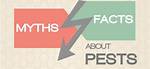 Fact-Checking Household Pest Myths: Do Spiders Like Hot or Cold Rooms?