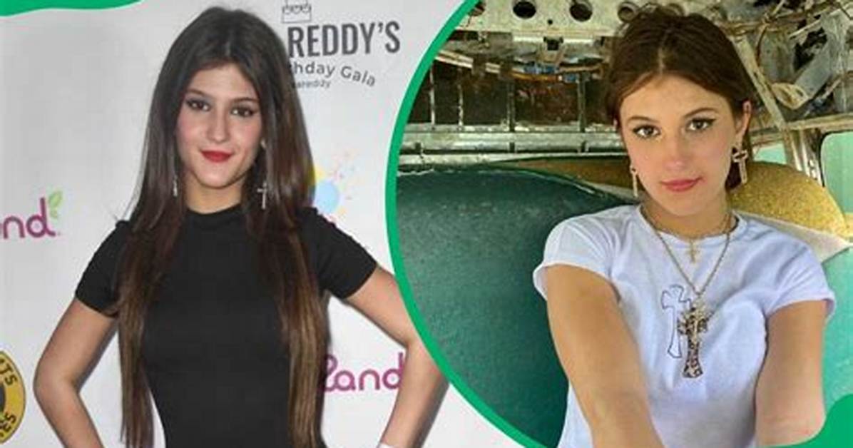 Fact-Checking Jenny Popach's Claims: the True Story Behind the Stream Feud