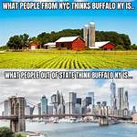 Fact-Checking New York Memes: Sifting Reality from Digital Hype and Financial Traps