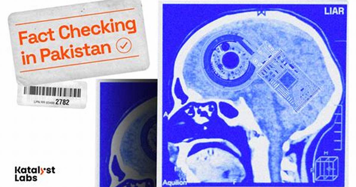 Fact-Checking the Claims: Inside the Anatomy of an Internet Search Hoax