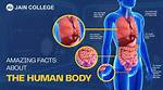 Fact-Checking the Human Body: What Is Truly the Largest Organ in 2026?
