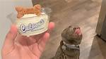 Fast Food Chains Expand Dog Treat Menus in 2026: Where Does Mcdonald's Stand?