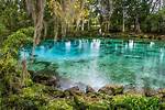 Florida's Secret Turquoise Haven: Inside Madison Blue Springs' Hidden Underwater Realm
