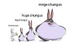 From 'Big Chungus' to 'Chungus Life': the Full Timeline Behind 2026'S Slang Comeback
