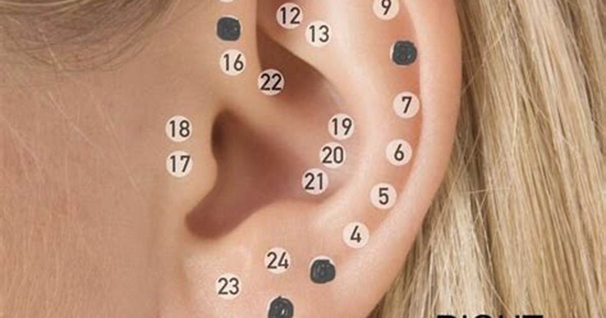 From Piercings to Post-Op Realities: Visual Truths of Tiktok Belly Button Trends
