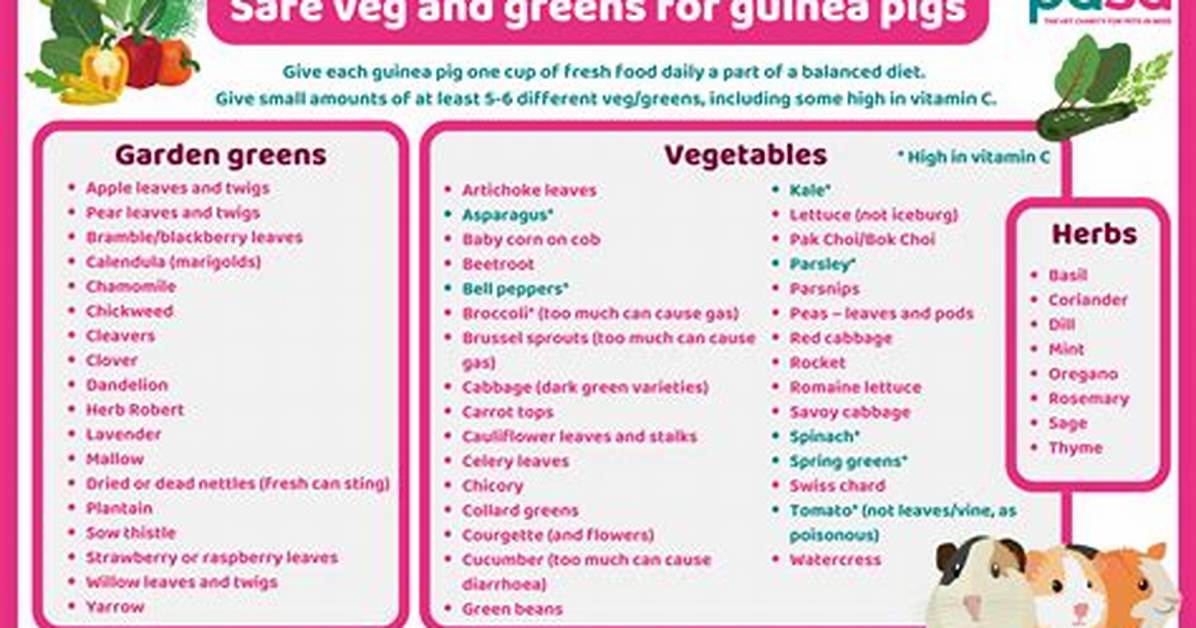 Guinea Pig Diet Update 2026: New Guidelines on Fruit and Safe Treats