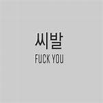 How to Say 'Fuck You' in Korean: Essential Slang, Pronunciation, and Severity Guide
