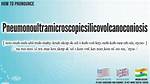 How to Say Pneumonoultramicroscopicsilicovolcanoconiosis: Complete Step-by-Step Tutorial