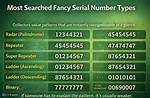 How to Use a Fancy Serial Number Checker: Step-by-Step Guide to Pricing Your Cash