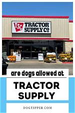 How to Use the Tractor Supply Dog Wash: Rules, What to Bring, and Step-by-Step Guide