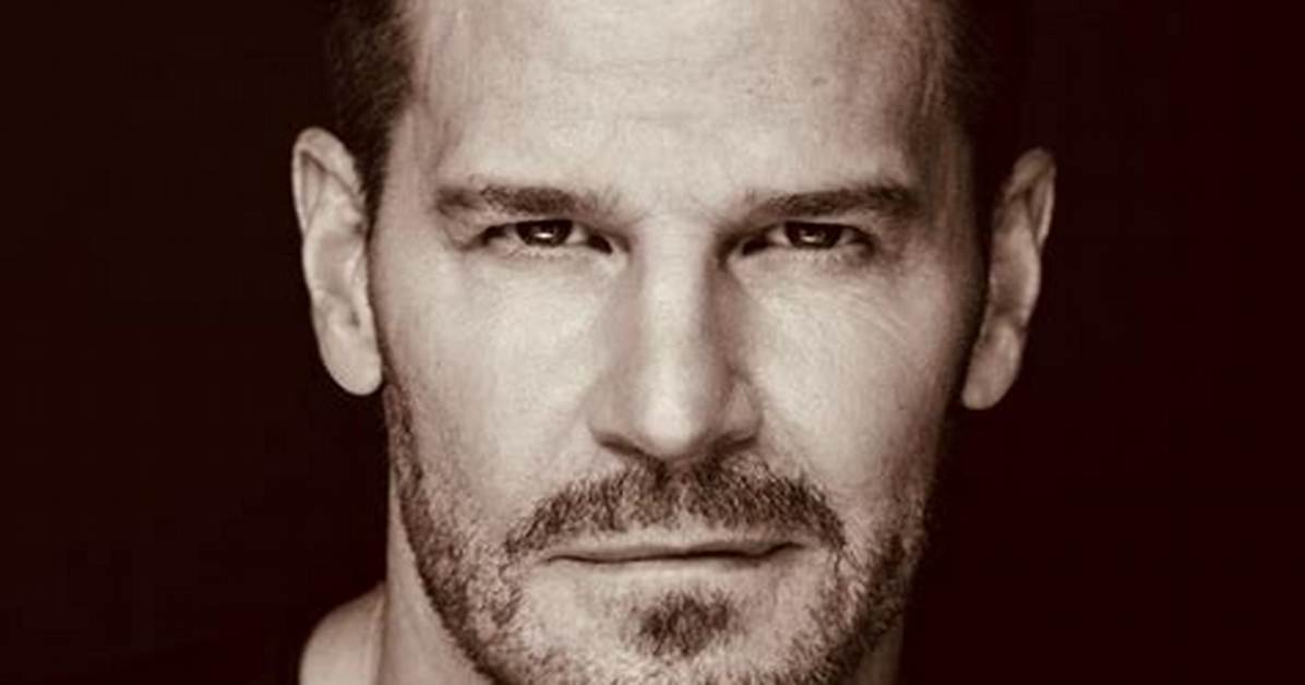Inside David Boreanaz’s Real Military Training and Uso Service Missions
