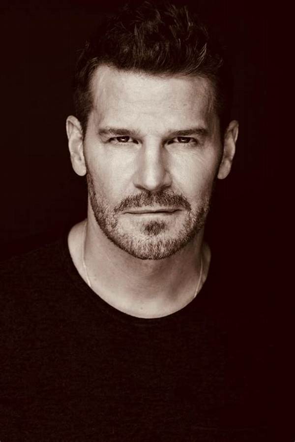 Inside David Boreanaz’s Real Military Training and Uso Service Missions