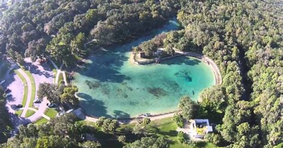 Inside Lithia Springs Park: Aerial Views and Natural Spring Conditions Revealed