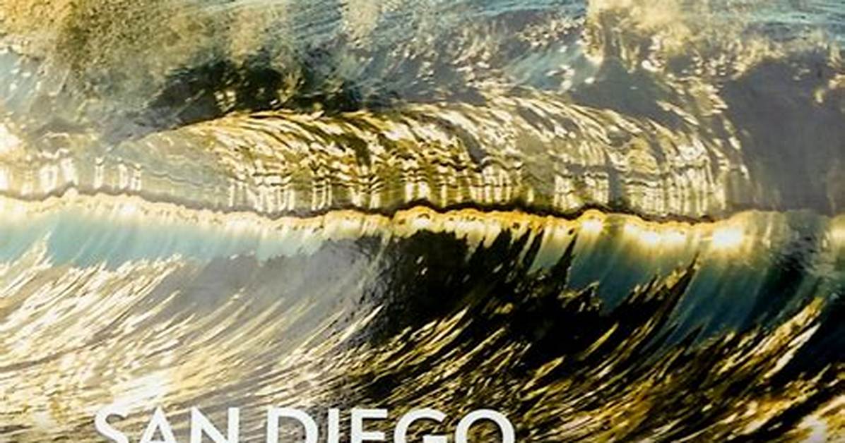 Inside San Diego Through the Lens: Visual Tour of Insideout, Pop-Ups, and City Culture
