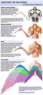 Inside the Death Angels' Anatomy: Visual Breakdown of the Quiet Place Monsters