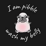 Inside the 'Pibble Wash My Belly' Meme: Watch the Original Videos Behind the Sound