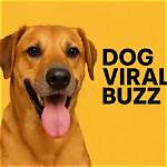 Inside the Viral Buzz: Why Olivia M. Schrager's Instagram Is Blowing up the Internet Right Now