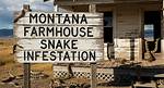 Is the Montana Snake Farmhouse Story Real? Fact-Checking the Den Claims