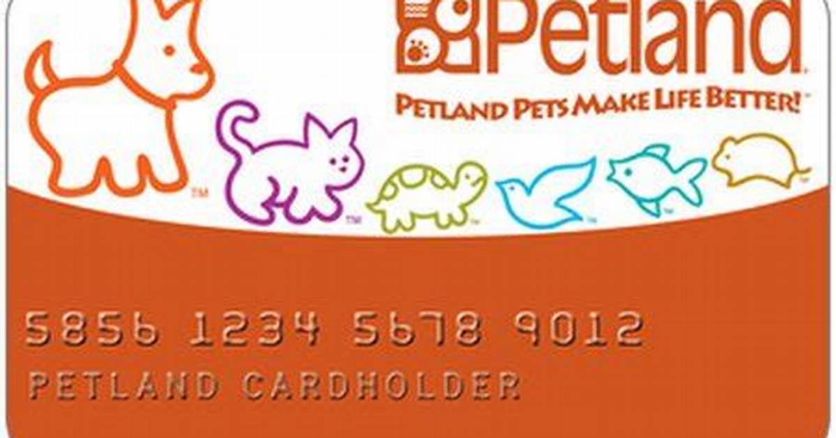 Is the Petland Credit Card Predatory? Fact-Checking in-Store Financing Claims