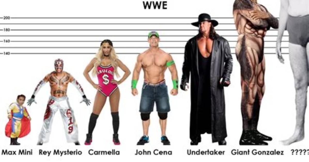 Is the Undertaker Really 6-Foot-10? the Truth About Mark Calaway's Real Height