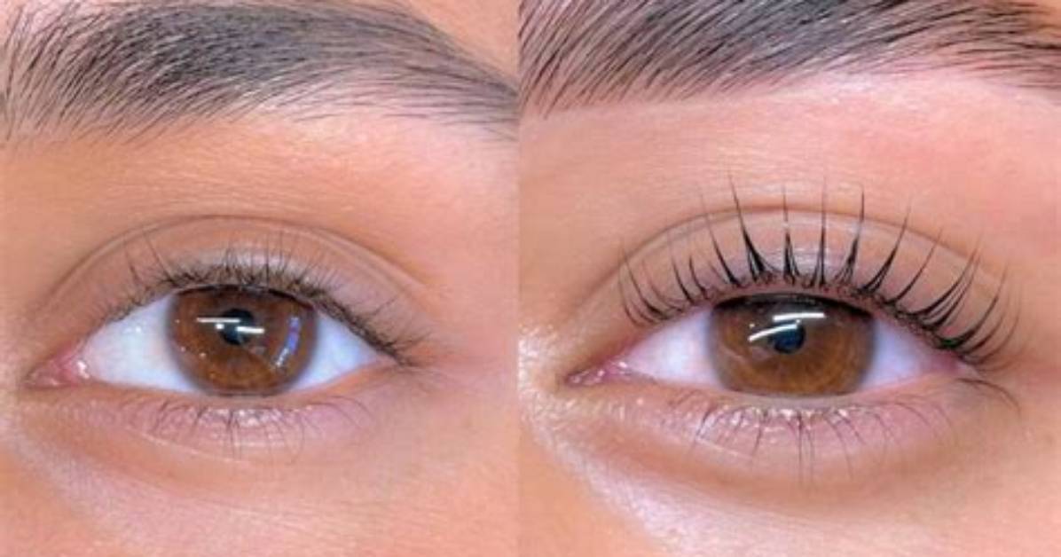 Korean Lash Lift Before and After: the Visual Proof Behind the 2026 Beauty Trend