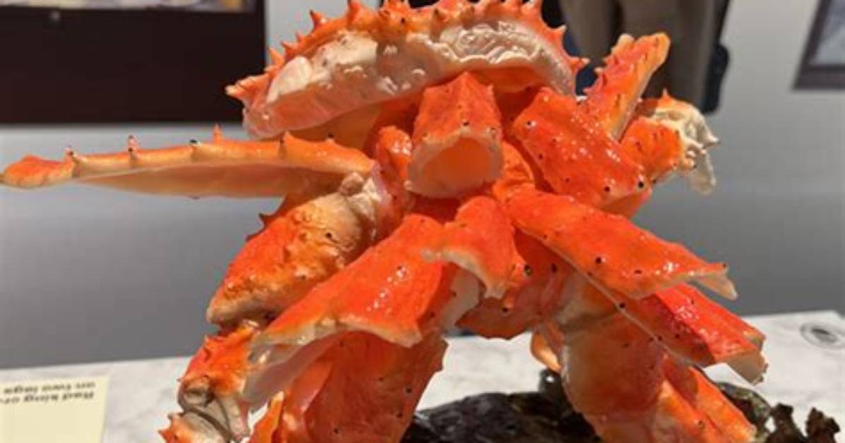 Looks Delicious! the Art of Shokuhin Sampuru and Japan's Hyper-Realistic Food Craze