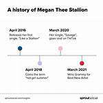 Megan Thee Stallion Viral Timeline: Tracking Her Most Energetic Public and Stage Appearances