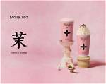 Molly Tea Metro Atlanta Expansion Timeline: Doraville, Duluth, and the Push into Buckhead