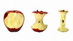 New Health Warnings on Apple Cores: What Recent Food Studies Unveil