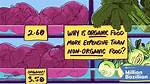 Organic Vs. Expensive: Fact-Checking Today's Most Popular Health Grocers