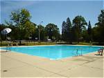 Springfield Aquatics Launches Forest Park Pool Summer Event Calendar