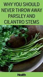 Stop Throwing Away Cilantro: the Freezing Mistake That Turns Herbs to Slime