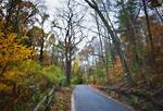 Sweet Hollow Road Today: Community Preservation, Safety Alerts, and Local News