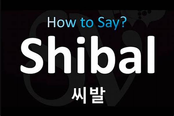 The Complete Guide to 'Shibal' in Korean: Meanings, Levels, and Context