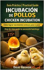 The Complete Guide to the Los Pollos Guinea Pig Meme: Context, Audio, and Faqs Answered
