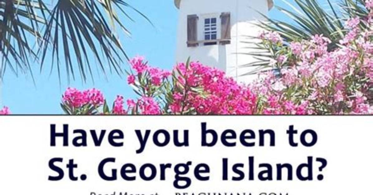 The Complete St. George Island Travel Guide: Pristine Beaches, Wildlife, and Safety Rules