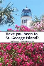The Complete St. George Island Travel Guide: Pristine Beaches, Wildlife, and Safety Rules