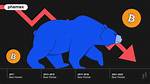 The Crypto Bear Party Backlash: a Complete Breakdown of How the Outrage Unfolded
