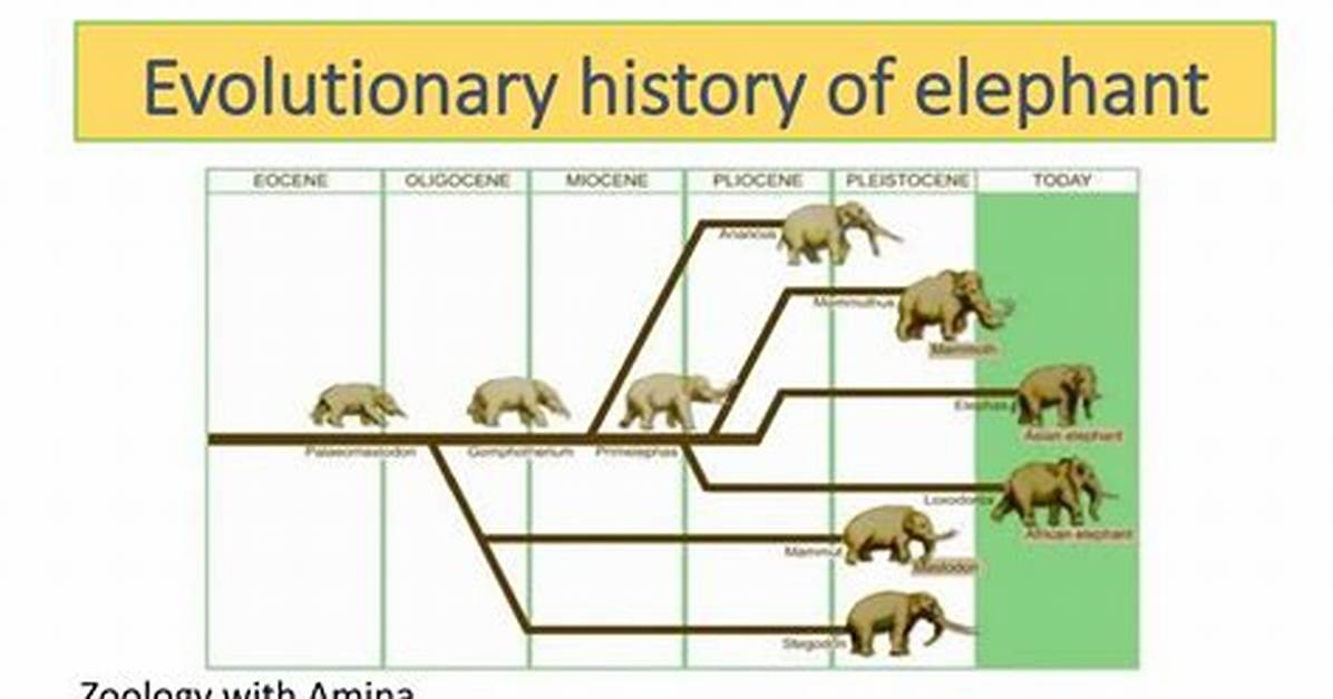 The Evolution of Cochise: a Complete Timeline from the 1800S to 2026