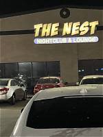 The Nest Corpus Christi Tx Visitor & Local Guide: Nightlife Directory, Safety, and Padre Island Nature Sites